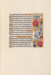 Ore della Regina Isabella la Cattolica, Regina di Spagna: Fol. 70r, c. 1500 da Master of the First Prayerbook of Maximillian