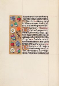 Ore di Isabella la Cattolica, Regina di Spagna: Fol. 70v da Master of the First Prayerbook of Maximillian