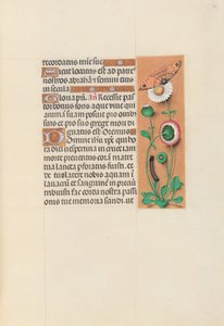 Ore di Isabella la Cattolica, Regina di Spagna: Fol. 76r, c. 1500 da Master of the First Prayerbook of Maximillian