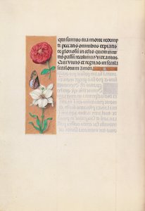 Ore di Isabella la Cattolica, Regina di Spagna: Fol. 76v, c. 1500 da Master of the First Prayerbook of Maximillian