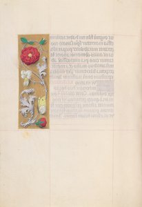 Ore della Regina Isabella la Cattolica, Regina di Spagna: Fol. 86v, c. 1500 da Master of the First Prayerbook of Maximillian