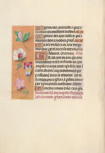Ore di Isabella la Cattolica, regina di Spagna: Fol. 92v, c. 1500 da Master of the First Prayerbook of Maximillian