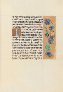 Ore di Isabella la Cattolica, Regina di Spagna: Fol. 96r, c. 1500 da Master of the First Prayerbook of Maximillian