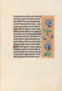 Ore di Isabella la Cattolica, Regina di Spagna: Fol. 99r da Master of the First Prayerbook of Maximillian