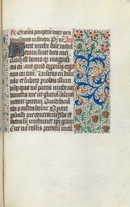Libro d