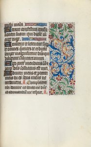 Libro d