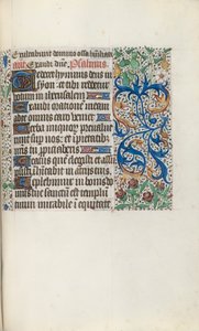 Libro d