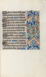 Libro d
