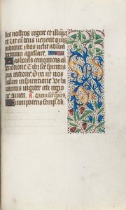 Libro d