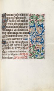 Libro d