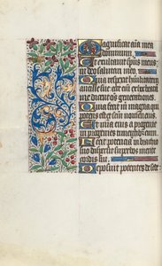 Libro d