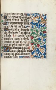 Libro d