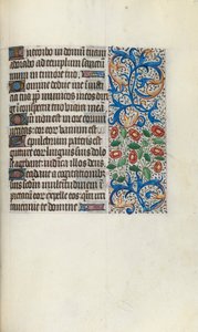 Libro d
