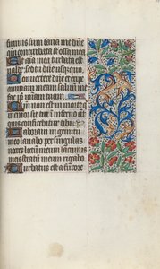 Libro d