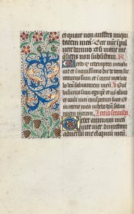 Libro d
