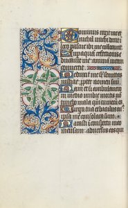 Libro d