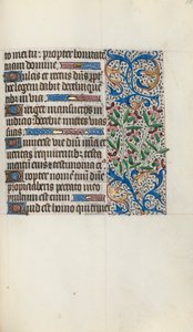 Libro d