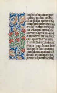 Libro d