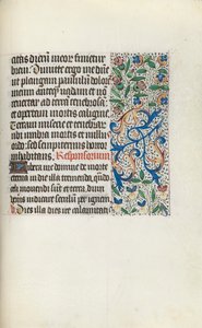 Libro d