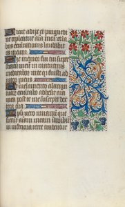 Libro d