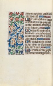 Libro d