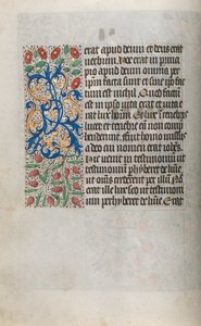Libro d