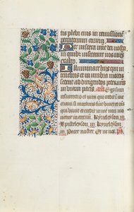 Libro d