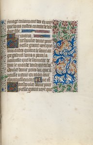 Libro d