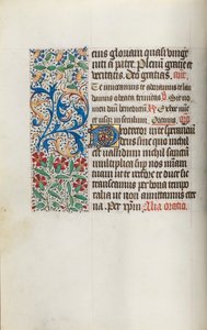 Libro d