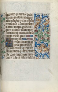 Libro d