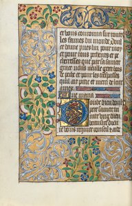 Libro d