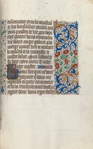 Libro d