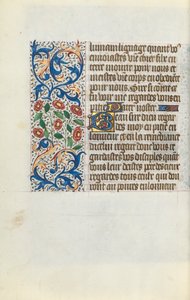 Libro d