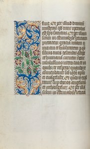 Libro d