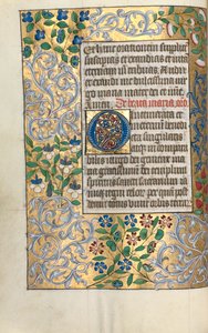 Libro d