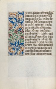 Libro d