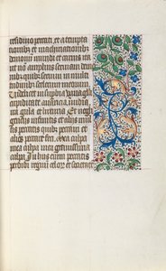 Libro d