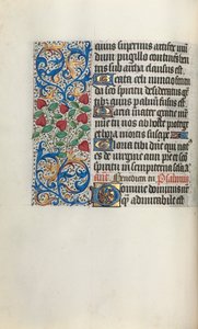 Libro d