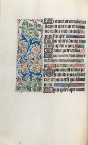 Libro d