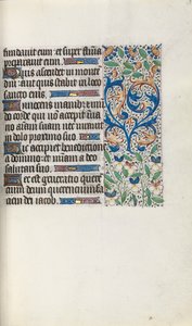 Libro d