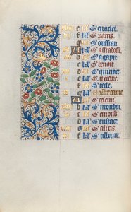Libro d