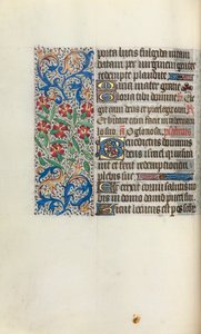 Libro d
