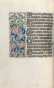 Libro d