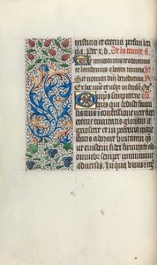 Libro d