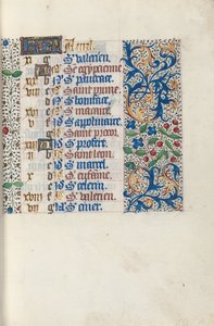 Libro d
