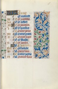 Libro d