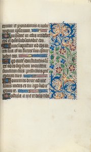 Libro d