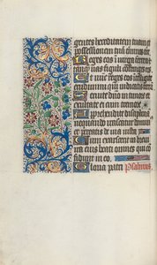 Libro d