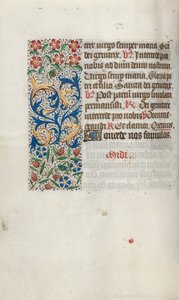 Libro d