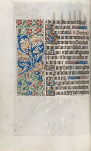 Libro d